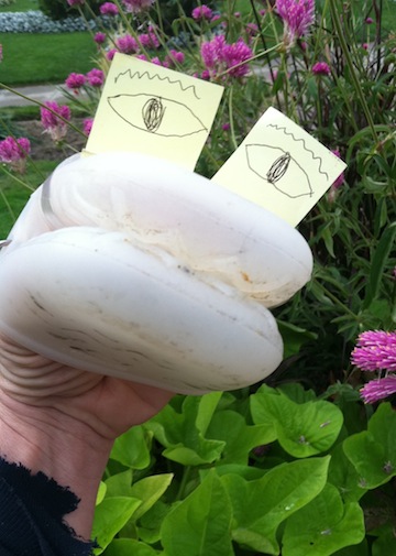 Political Channel For The Presidentials